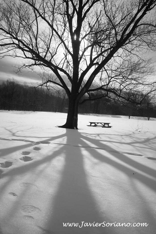 Javier Soriano: Latino photographer in New York City - Fotografo mexicano en la ciudad de Nueva York.