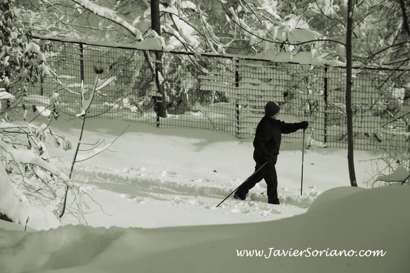 Javier Soriano: Latino photographer in New York City - Fotografo mexicano en la ciudad de Nueva York.