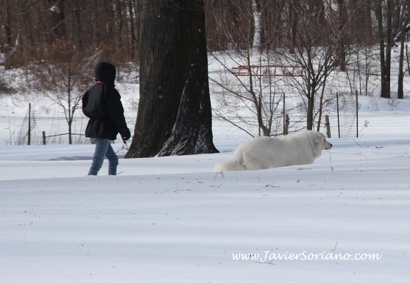 Javier Soriano: Latino photographer in New York City - Fotografo mexicano en la ciudad de Nueva York.