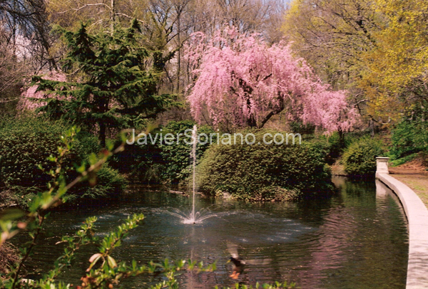 JavierSoriano.com-spring1