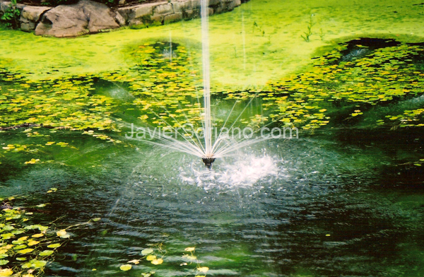JavierSoriano.com-summer1